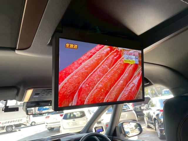 ��ȃ��j�^�[�������Ă���܂��I