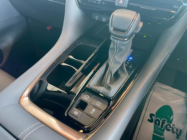 �d���p�[�L���O�u���[�L�ƃI�[�g�u���[�L�z�[���h�������Ă���܂��I