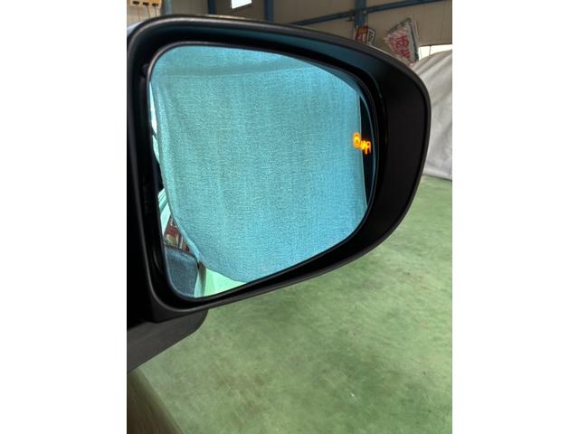 ライズ Z Z ワンオーナー 女性社用車 禁煙 衝突被害軽減システム ALPIN BIG-X ETC2.0 クルーズコントロール リアモニター シートヒーター AppleCarPlay AndoroidAuto(61枚目)