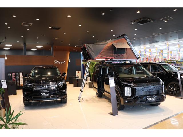 G パワーパッケージ ボディキット ワーロック チェンジカラーVer ATタイヤ マルチアラウンドモニター BSW LCA+RCTA 電動サイドステップ 三菱オリジナル10.1型ナビ ビルトインUSB HDMI ETC(45枚目)