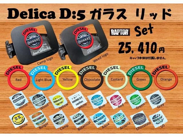 デリカＤ：５ 　ワーロック　ＬＩＺＡＲＤ（リザード）仕様　アルパイン１１型ナビ　ＥＴＣ　ＨＤＭＩ／ＵＳＢポート　ＡＴタイヤ　マルチアラウンドモニター　ＢＳＷ／ＬＣＡ＋ＲＣＴＡ　フロントバンパーガード（46枚目）