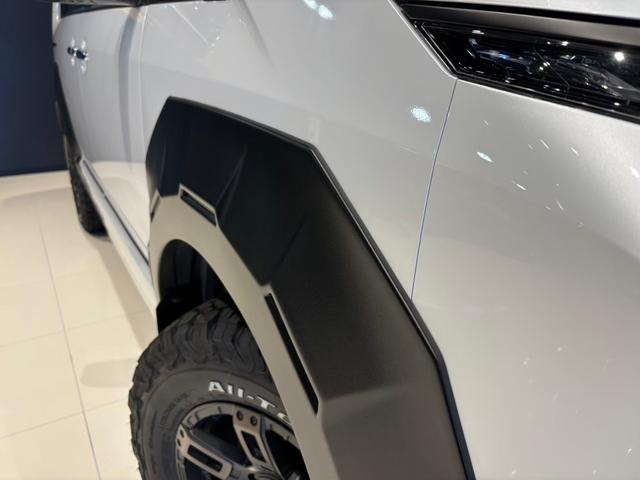 デリカD:5 P WARLOCKボディキット ALPINE11型ナビ ETC GOQBUTO/フロントバンパーガード MKW/マッドフラップ/ブラック エクシードバイザー リアエンブレムマットブラック塗装(13枚目)