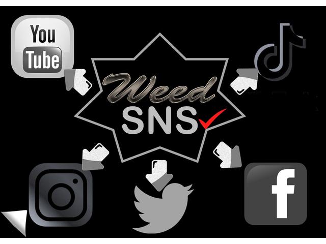 デリカD:5 P WARLOCKボディキット ALPINE11型ナビ ETC GOQBUTO/フロントバンパーガード MKW/マッドフラップ/ブラック エクシードバイザー リアエンブレムマットブラック塗装(36枚目)