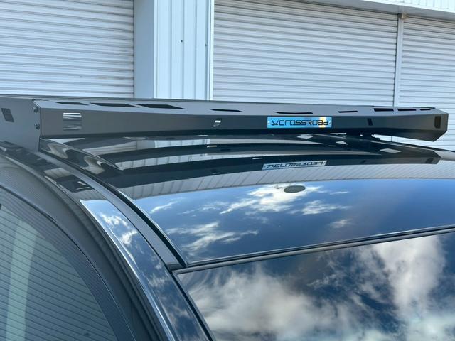 デリカＤ：５ Ｇ　パワーパッケージ　Ｇ－ＰｏｗｅｒＰａｃｋａｇｅ　ハーティーラン　サイドムービングシート仕様　ＡＬＰＩＮＥ１１型ナビ　ＷＡＲＬＯＣＫボディＫＩＴ　クロスロードルーフラック　ＪＡＯＳ製リアラダー　ＭＫＷ製マッドフラップ（7枚目）