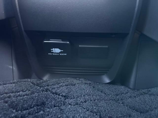 デリカＤ：５ Ｇ　パワーパッケージ　Ｇ－ＰｏｗｅｒＰａｃｋａｇｅ　ハーティーラン　サイドムービングシート仕様　ＡＬＰＩＮＥ１１型ナビ　ＷＡＲＬＯＣＫボディＫＩＴ　クロスロードルーフラック　ＪＡＯＳ製リアラダー　ＭＫＷ製マッドフラップ（63枚目）