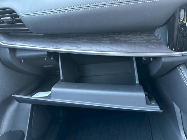 エクストレイル G e-4ORCE(47枚目)