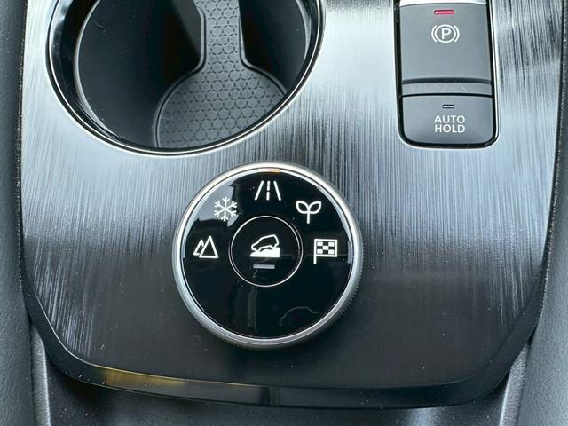 エクストレイル G e-4ORCE(52枚目)