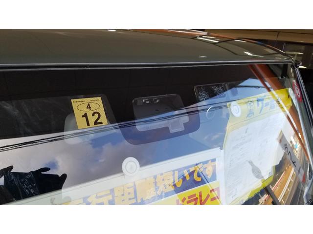 XL(18枚目)