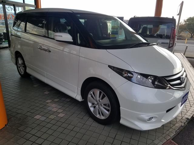 エリシオン ＶＧ（18枚目）