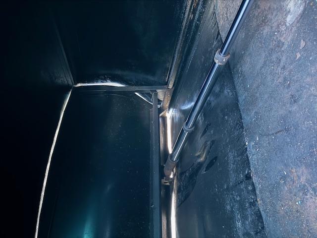 コンドル （16枚目）