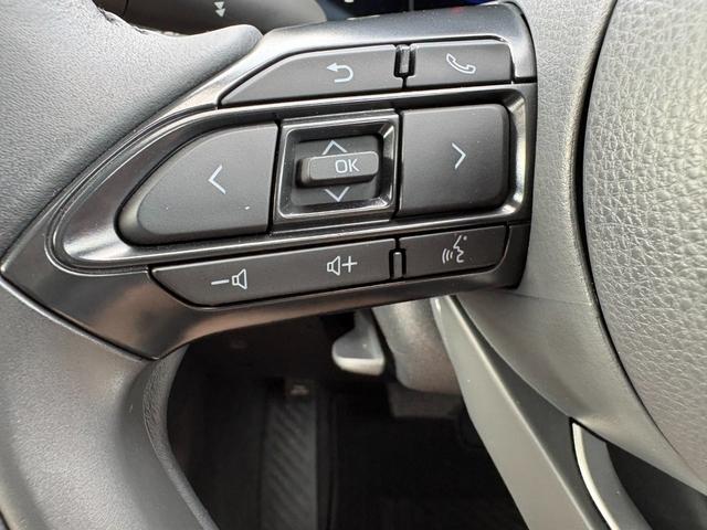 アクア Ｇ　４ＷＤ　メーカーナビ　パノラミックビューモニター　ステリモ　ＥＴＣ　アドバンストパーク　ＡＣ１００Ｖ電源　レーダークルーズ　セーフティセンス　スマートキー　ＢＳＭ　ＬＥＤヘッドライト　純正１５アルミ（33枚目）