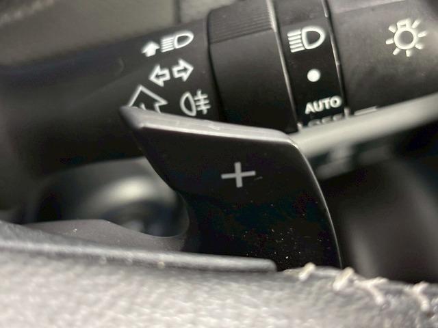フォレスター Ａｄｖａｎｃｅ　禁煙車／バックカメラ／ブラインドスポット／ＥＴＣ／サイドカメラ／シートヒーター／レーダークルーズ／ステアリングヒーター／衝突軽減／パワーシート／サイドカメラ／シートメモリー（25枚目）