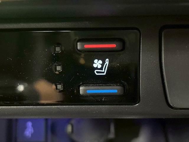 TOYOTA RAV4 PHV BLACK TONE