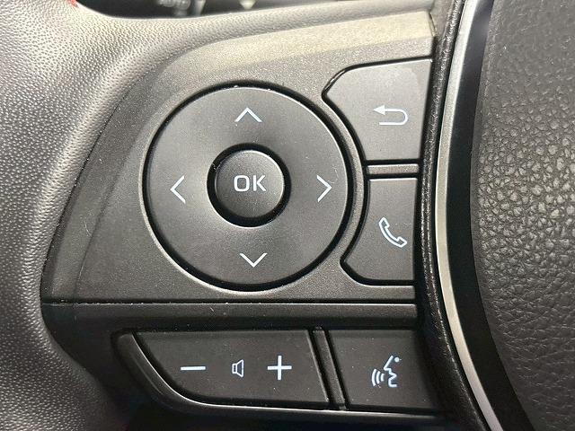 TOYOTA RAV4 PHV BLACK TONE