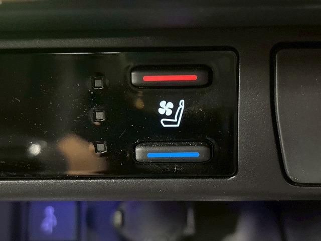 TOYOTA RAV4 PHV BLACK TONE