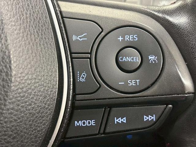TOYOTA RAV4 PHV BLACK TONE