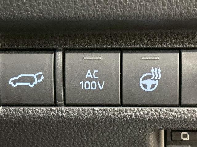 TOYOTA RAV4 PHV BLACK TONE