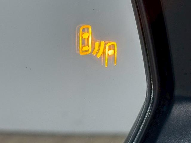 TOYOTA ALPHARD 2.5S TYPE GOLD