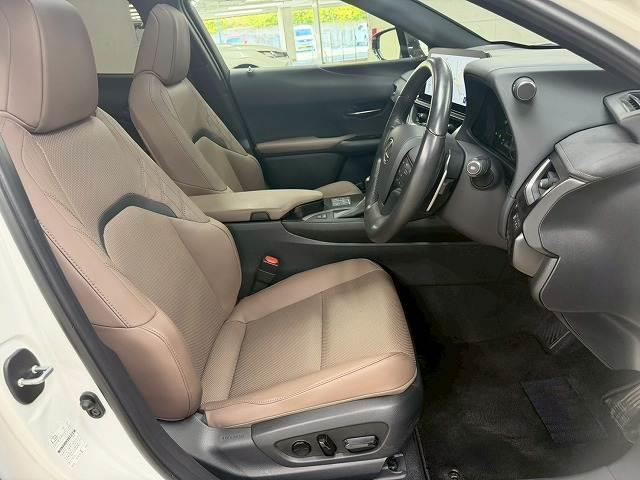 LEXUS UX UX250H GRACEFUL EXPLORER