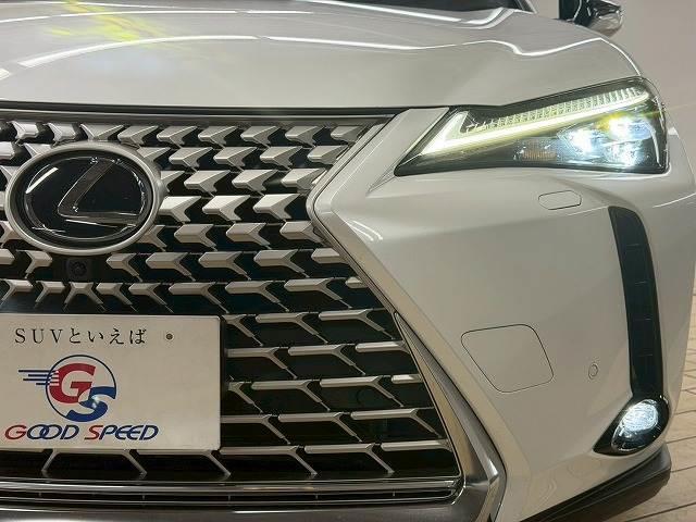 LEXUS UX UX250H GRACEFUL EXPLORER