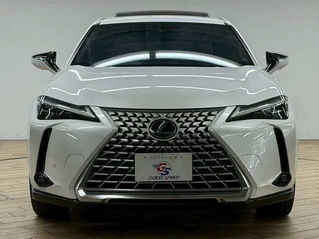 LEXUS UX UX250H GRACEFUL EXPLORER