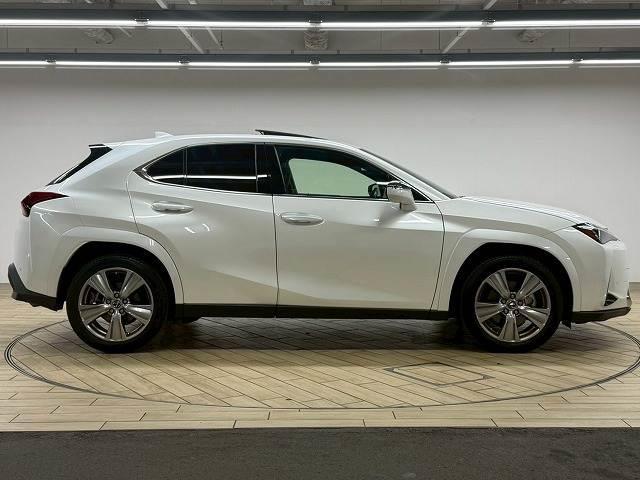 LEXUS UX UX250H GRACEFUL EXPLORER