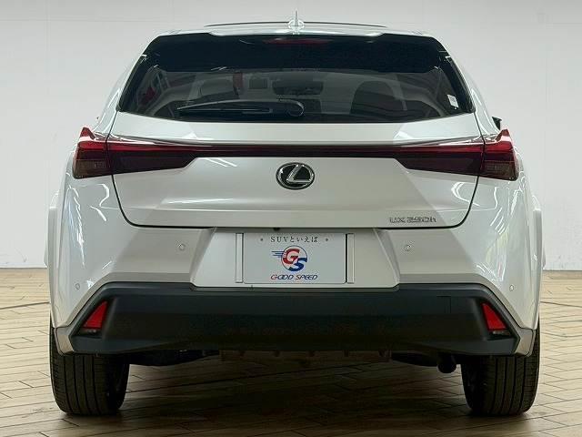 LEXUS UX UX250H GRACEFUL EXPLORER