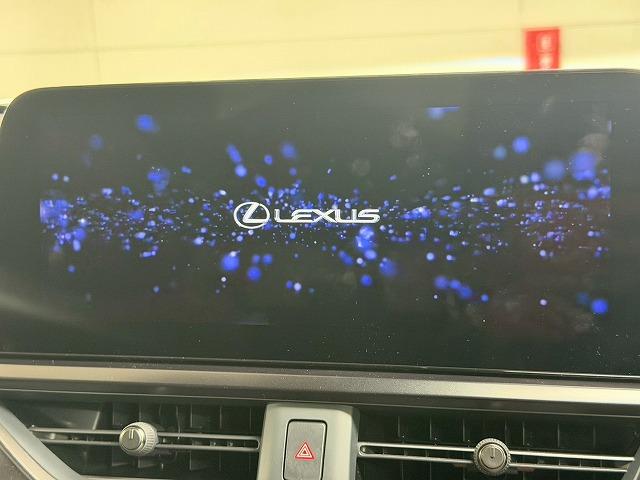 LEXUS UX UX250H GRACEFUL EXPLORER