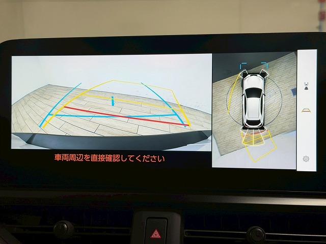 LEXUS UX UX250H GRACEFUL EXPLORER