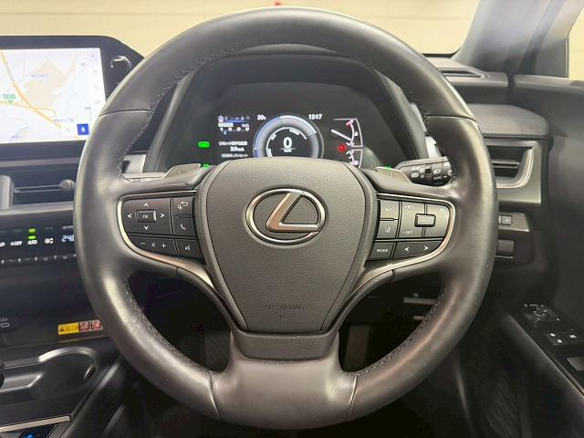 LEXUS UX UX250H GRACEFUL EXPLORER
