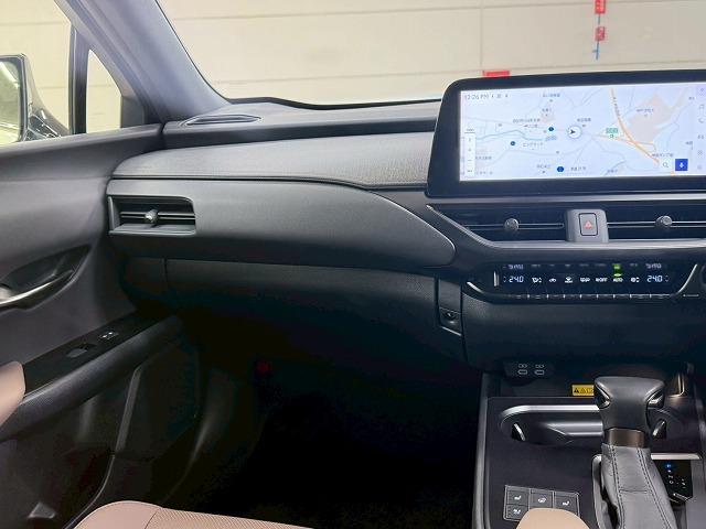 LEXUS UX UX250H GRACEFUL EXPLORER