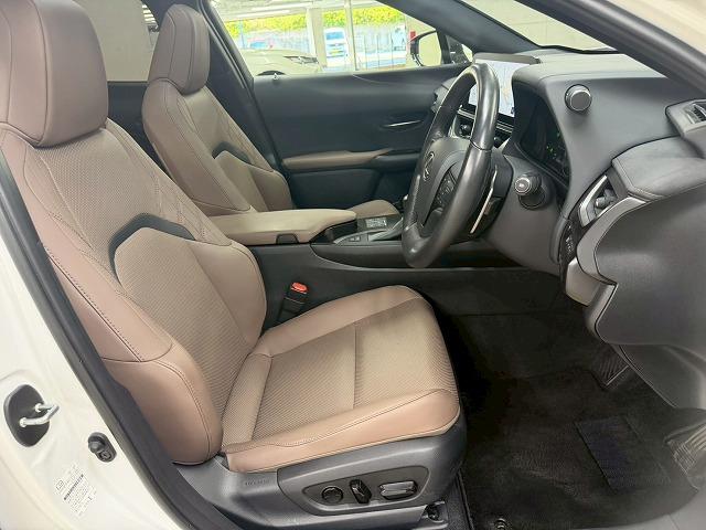 LEXUS UX UX250H GRACEFUL EXPLORER