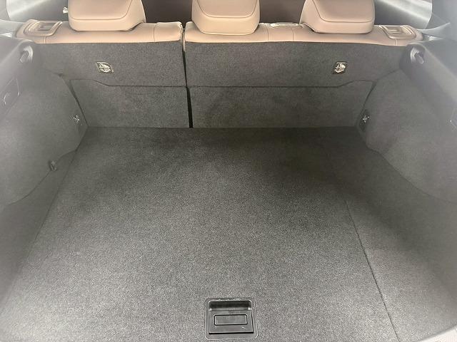LEXUS UX UX250H GRACEFUL EXPLORER