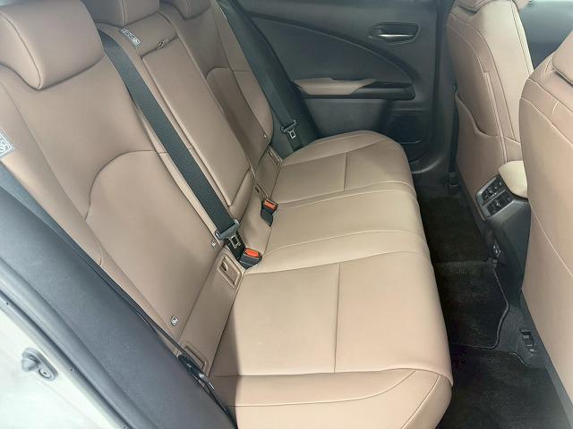 LEXUS UX UX250H GRACEFUL EXPLORER
