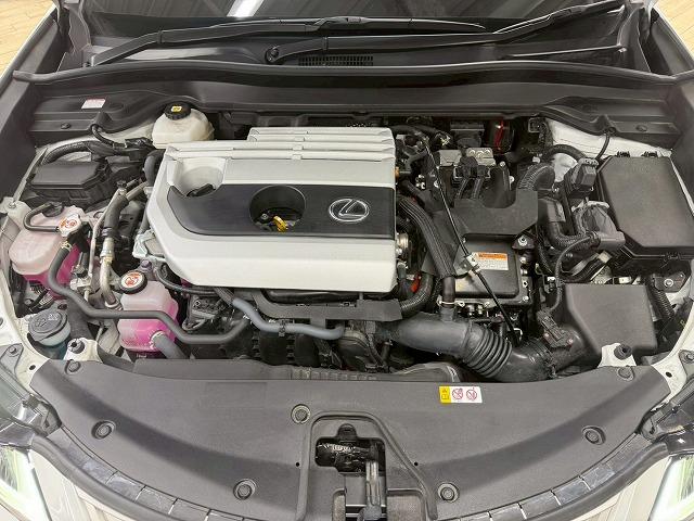 LEXUS UX UX250H GRACEFUL EXPLORER