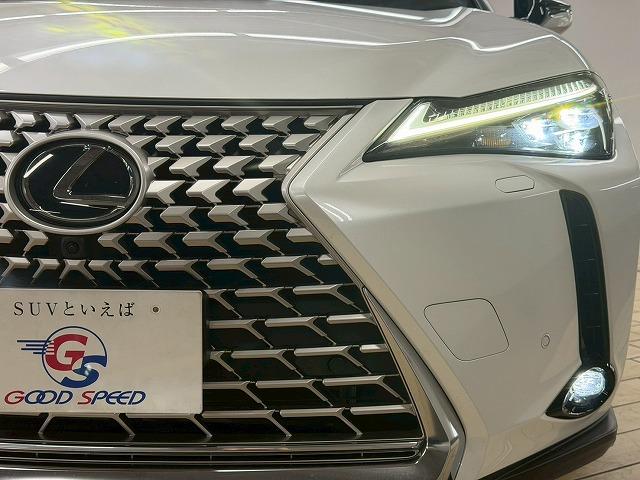 LEXUS UX UX250H GRACEFUL EXPLORER