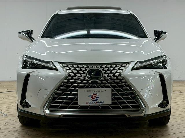 LEXUS UX UX250H GRACEFUL EXPLORER