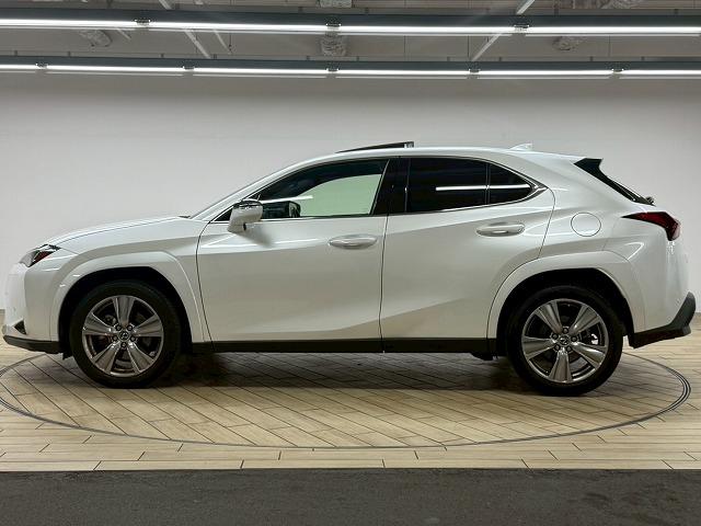 LEXUS UX UX250H GRACEFUL EXPLORER