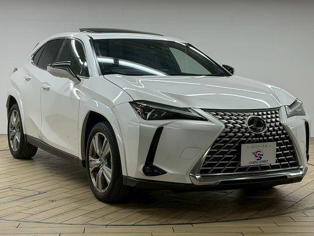 LEXUS UX UX250H GRACEFUL EXPLORER
