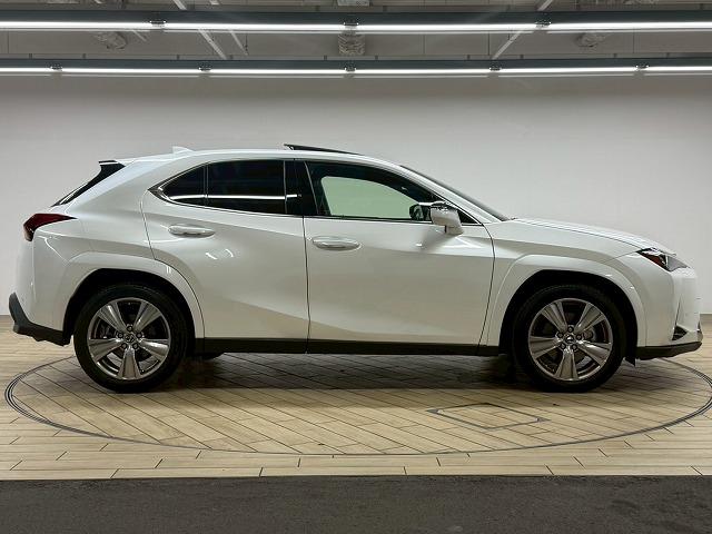 LEXUS UX UX250H GRACEFUL EXPLORER