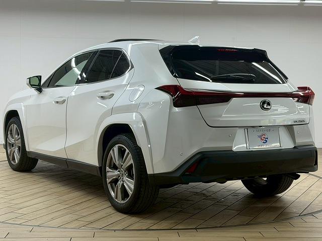 LEXUS UX UX250H GRACEFUL EXPLORER