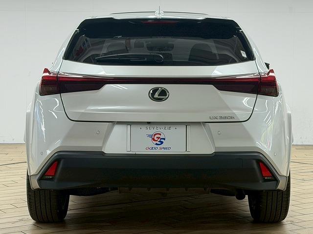 LEXUS UX UX250H GRACEFUL EXPLORER