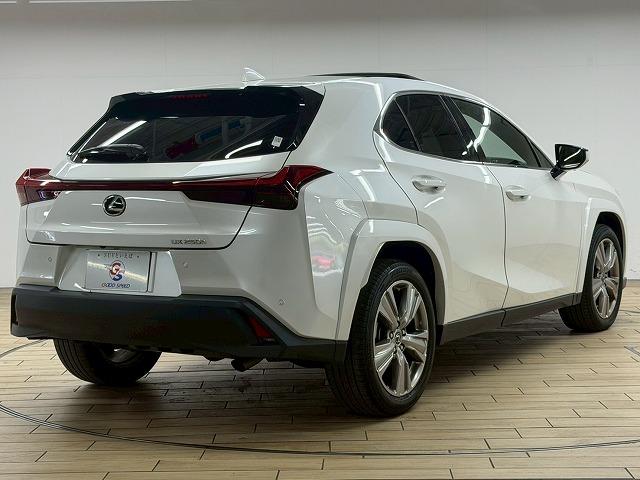 LEXUS UX UX250H GRACEFUL EXPLORER