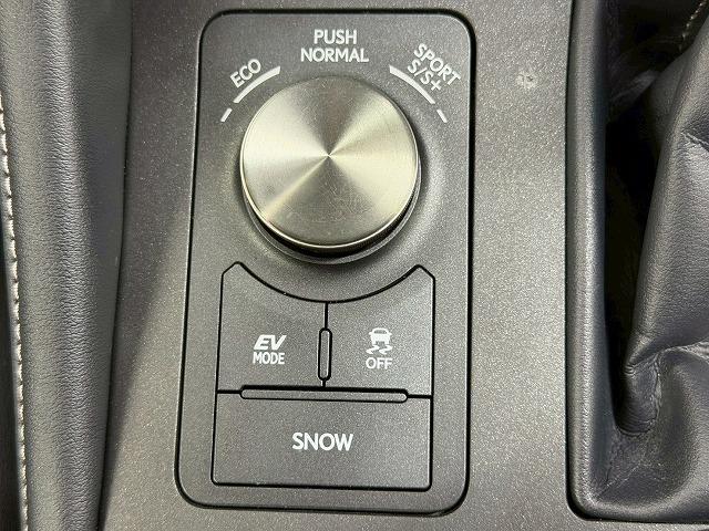 RC RC300h F SPORT 禁煙車/バックカメラ/クルーズコントロール/ステアリングヒーター/シートクーラー/ETC/シートヒーター/バックカメラ/シートメモリー/クリアランスソナー/パドルシフト/ステアリングスイッチ(40枚目)