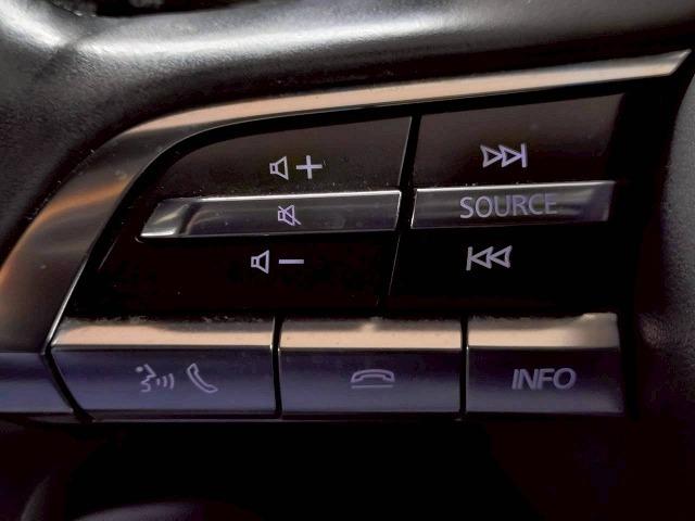 ＭＡＺＤＡ３ファストバック ＸＤバーガンディ　セレクション　ＢＢＳアルミ／シグネチャーエアロ／全周囲／ＢＯＳＥ／ブラインドスポット／レーダークルーズ／赤レザー／シートヒーター／ステアリングヒーター／ＣＤ・ＤＶＤ再生／アップルカープレイ（49枚目）