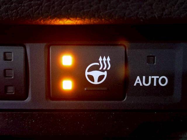 ＥＳ ＥＳ３００ｈ　“Ｆ　ＳＰＯＲＴ”　禁煙／サンルーフ／レーダークルーズ／ＡＣ１００Ｖ／電動リアゲート／ブラインドスポット／ＥＴＣ／シートヒーター＆シートクーラー／ステアリイングスイッチ／ＣＤ・ＤＶＤ再生／パドルシフト（37枚目）