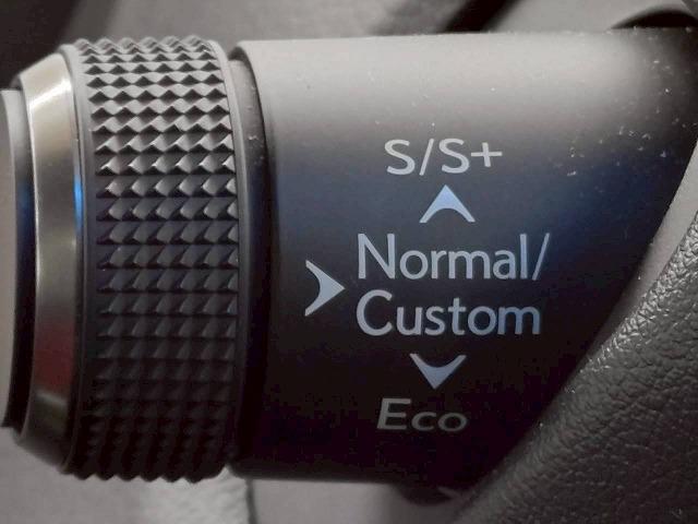 ＥＳ ＥＳ３００ｈ　“Ｆ　ＳＰＯＲＴ”　禁煙／サンルーフ／レーダークルーズ／ＡＣ１００Ｖ／電動リアゲート／ブラインドスポット／ＥＴＣ／シートヒーター＆シートクーラー／ステアリイングスイッチ／ＣＤ・ＤＶＤ再生／パドルシフト（38枚目）