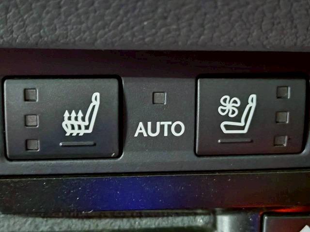 ＥＳ ＥＳ３００ｈ　“Ｆ　ＳＰＯＲＴ”　禁煙／サンルーフ／レーダークルーズ／ＡＣ１００Ｖ／電動リアゲート／ブラインドスポット／ＥＴＣ／シートヒーター＆シートクーラー／ステアリイングスイッチ／ＣＤ・ＤＶＤ再生／パドルシフト（50枚目）