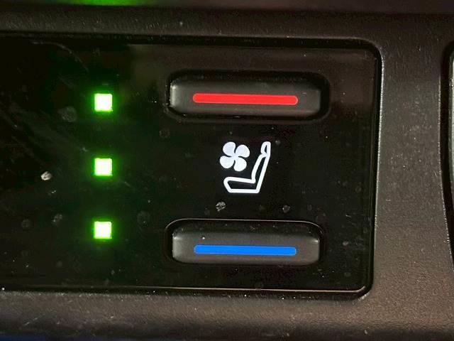 ＲＡＶ４ ＨＹＢＲＩＤ　Ｇ　禁煙／１０．５インチ／電動リアゲート／全周囲／レーダークルーズ／ブラインドスポット／パワーシート／アップルカープレイ／シートヒーター＆シートクーラー／オートハイビーム／ステアリングヒーター（8枚目）