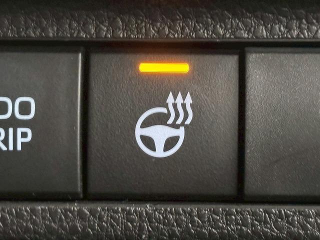 ＲＡＶ４ ＨＹＢＲＩＤ　Ｇ　禁煙／１０．５インチ／電動リアゲート／全周囲／レーダークルーズ／ブラインドスポット／パワーシート／アップルカープレイ／シートヒーター＆シートクーラー／オートハイビーム／ステアリングヒーター（26枚目）